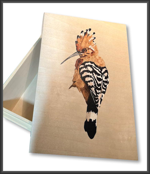 Bird on box lid